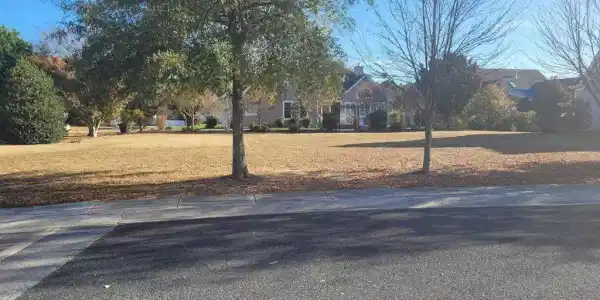 215 UNIVERSITY DRIVE