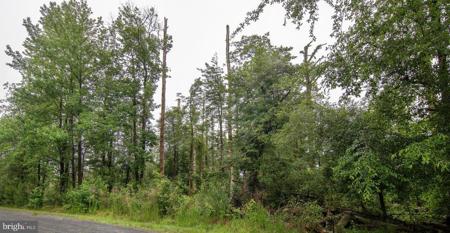 Lot 704 CASTAWAY DRIVE