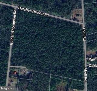 21126 GOLDEN THOMPSON ROAD