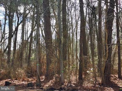 Lot 3 OCEAN PINES LANE
