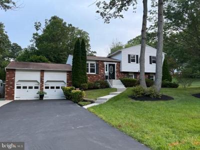 1247 SILVER RUN DRIVE