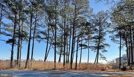 Lot 718 CASTAWAY DRIVE
