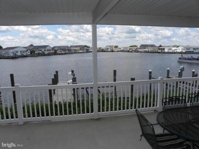 195 PINE TREE ROAD