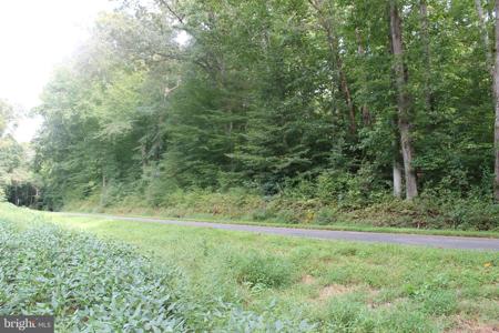 OLD SYCAMORE RD