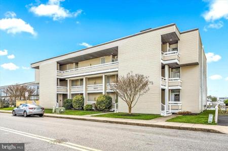 509 PENGUIN DRIVE