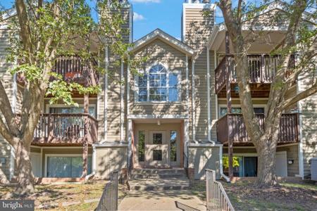 206 WATER FOUNTAIN COURT
