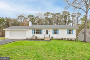 35007 HOOT OWL LANE
