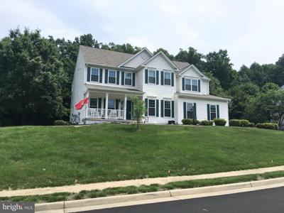17921 SWANS CREEK LANE