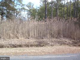 Lot Daugherty Town Road DAUGHERTY TOWN RD