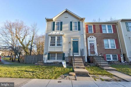1107 DOUBLE CHESTNUT