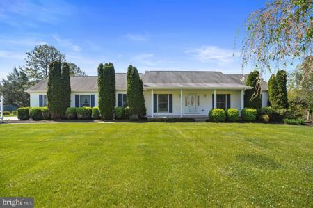 920 COX NECK ROAD