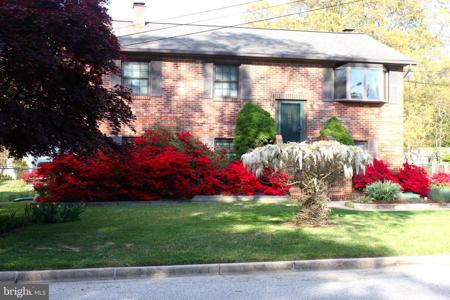 801 DAVID DRIVE