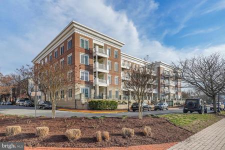525 BELMONT BAY DRIVE