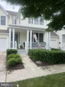 17 TULIP POPLAR TURN