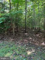 12152 PINE TREE LANE