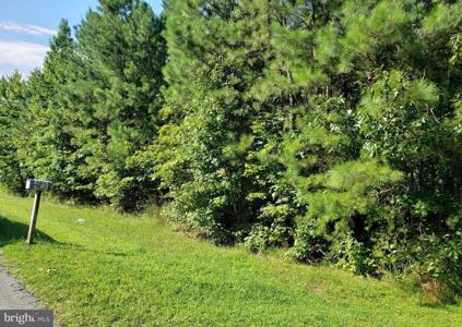 18529 THREE NOTCH ROAD