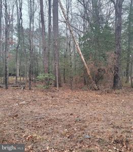 Lot 17 AZALEA WAY