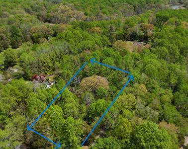 4111 OLD MUDDY CREEK ROAD