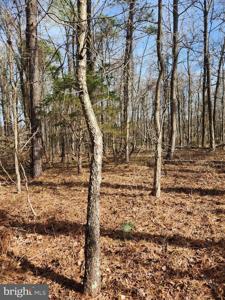 Lot 69 PLANTATION