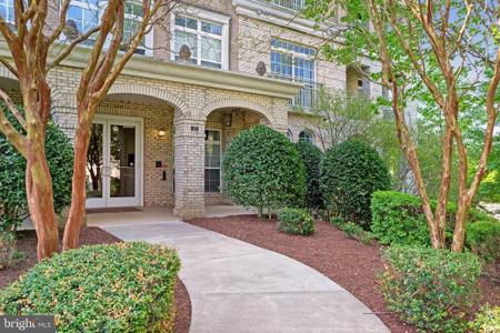 810 BELMONT BAY DRIVE