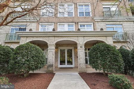 810 BELMONT BAY DRIVE