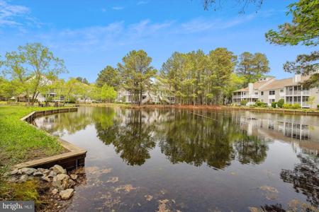 39234 TIMBERLAKE COURT