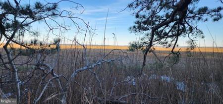 Lot 55 NEPTUNE DR