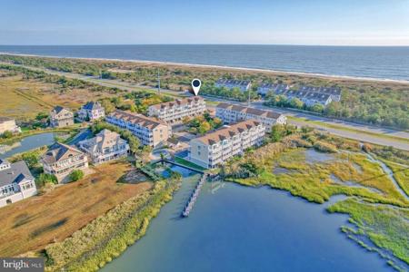 29018 BEACH COVE SQUARE