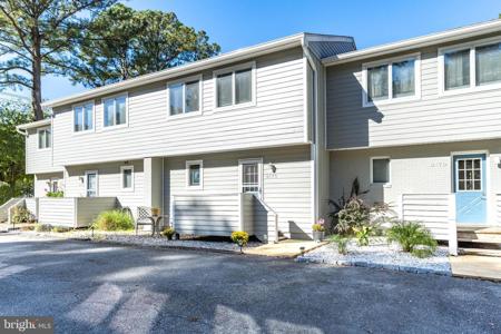 817 BEACH HAVEN DRIVE