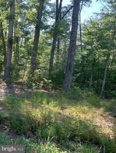 CUCKOLD CREEK ROAD