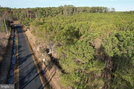 Parcel 455 BOONE ROAD