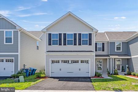 43 OLIVE WAY