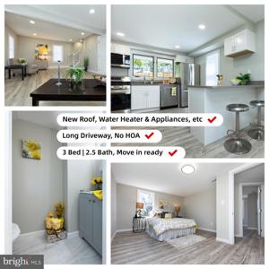 2407 HAMMONDS FERRY ROAD
