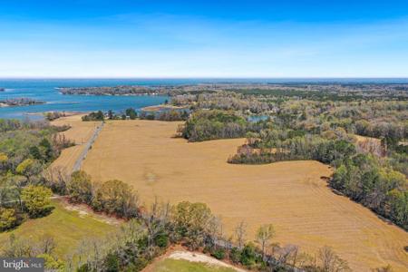 BEALES WHARF - PARCEL 4