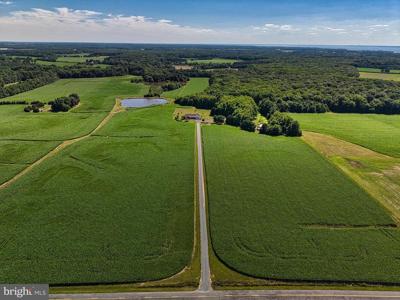 11500 POSSUM HOLLOW ROAD
