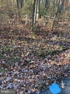 SHAFFER RD