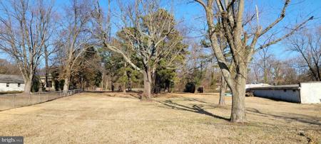 BEECHWOOD AVENUE