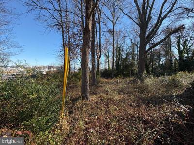 OLD TURKEY POINT ROAD