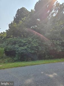Lot A SALISBURY ROAD