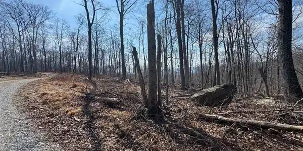 MIDDLE POINT ROAD