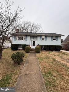 206 GLEN ROAD