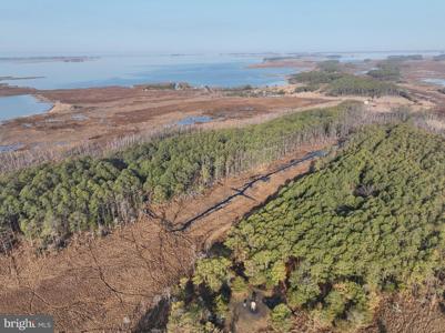 2373 ASQUITH ISLAND ROAD