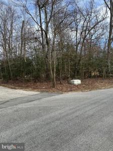 733 SKYVIEW DRIVE