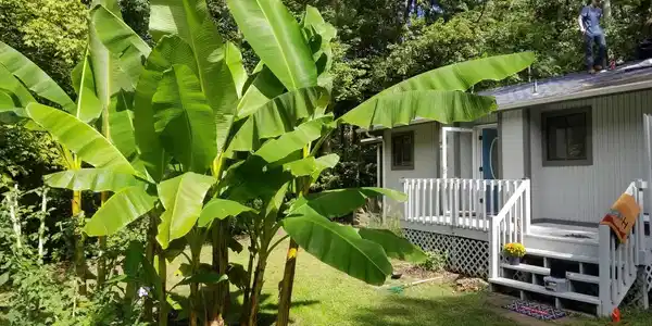 22 CANNON DRIVE