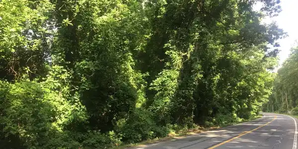 0 HORSEPOND ROAD