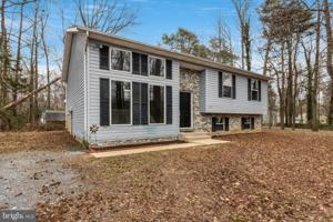 11546 WILDCAT COURT