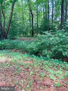 lot 34 RILEY LANE