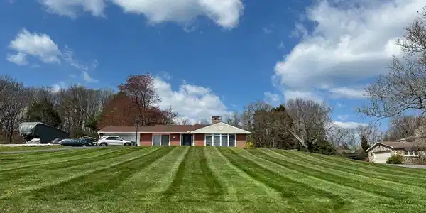 119 BLYTHEDALE ROAD
