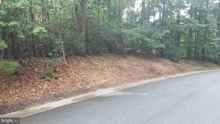 SHAGBARK LANE