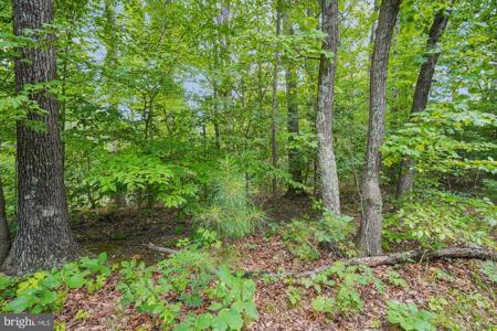 383 RED CLOUD ROAD